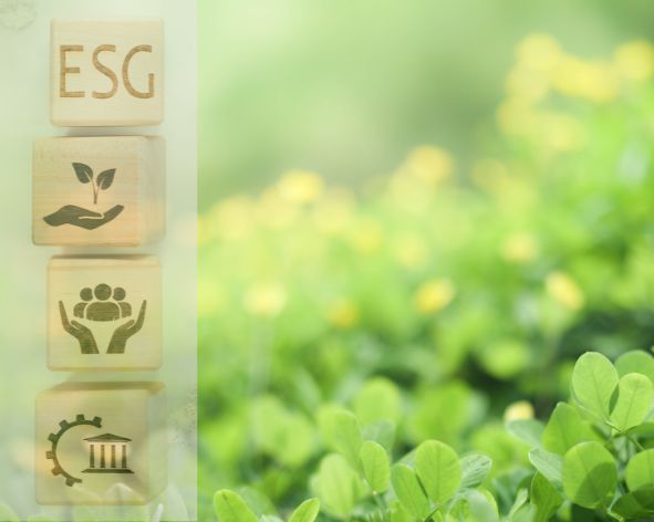 ESG Integration in Investment Processes: Strategies and Challenges